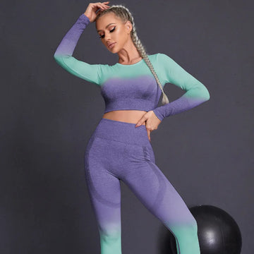 Seamless Yoga Sports Suit Set